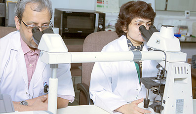 Internationally recognised faculty for haploidentical BMT