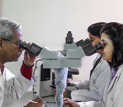 We offer Personalized Medicine including genetic testing of the tumor as a routine part of the diagnosis and staging procedure for all men and women treated for genitourinary cancers.