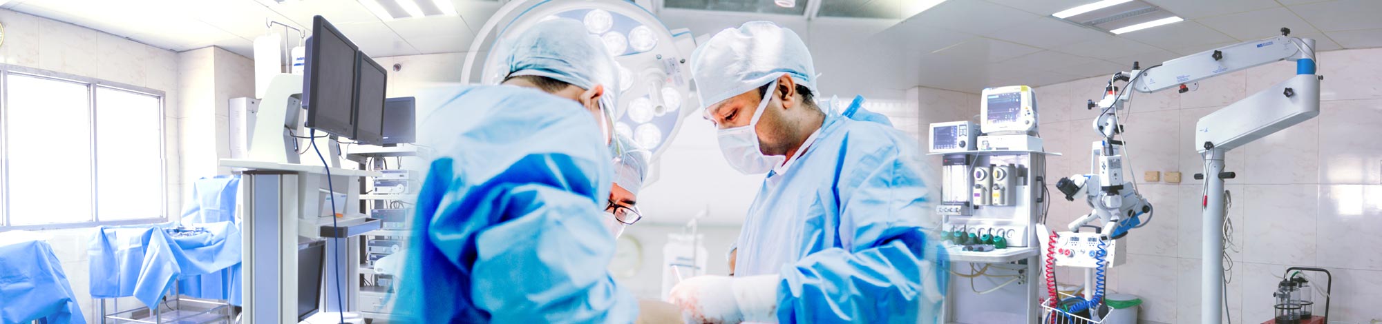 Overview of the Centre