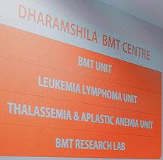 Bone Marrow Transplant
